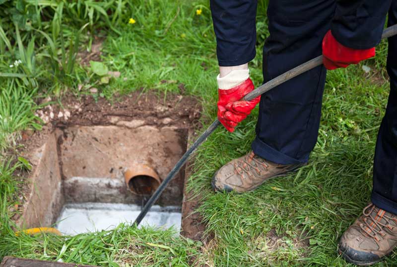 Professional rooter service in Lake Oswego for clogged drains