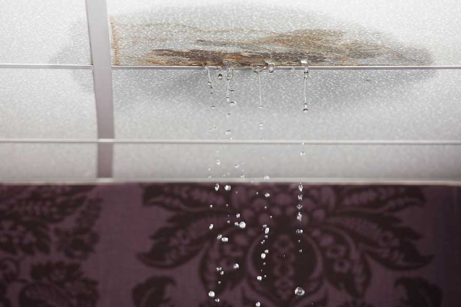 Professional Plumbing in Aloha